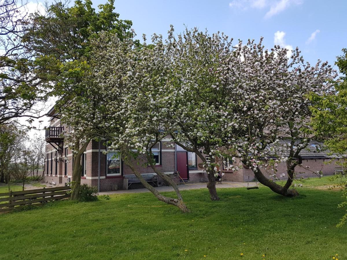 Hunsingo Texel Bed and Breakfast De Cocksdorp  Eksteriør billede