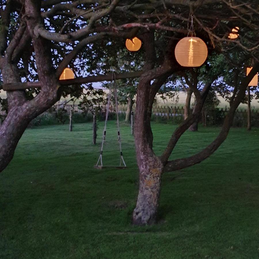 Hunsingo Texel Bed and Breakfast De Cocksdorp  Eksteriør billede